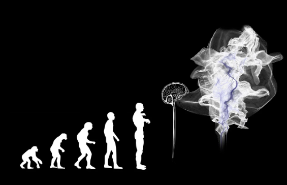 진화는 윤리적일까 자연선택과 도덕성의 관계 탐구