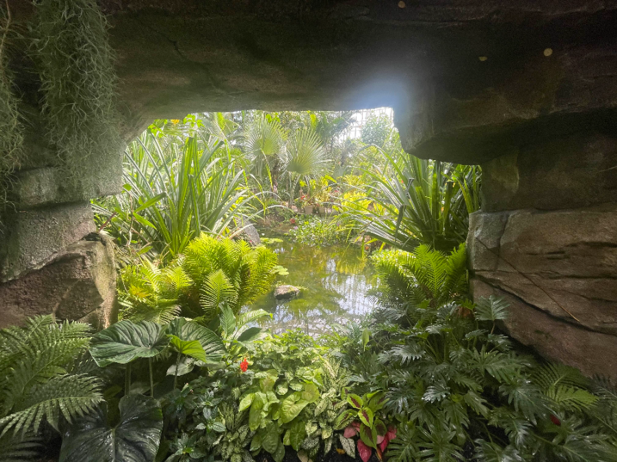 국립 세종수목원 사계절 전시온실 열대식물전시원