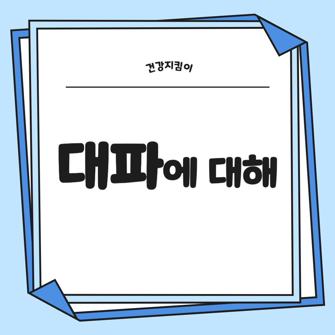 대파 효능과 부작용 고르는법