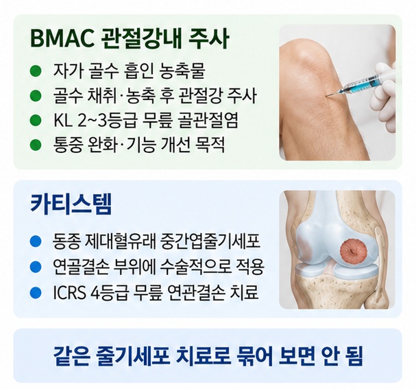 BMAC 관절강내 주사와 카티스템의 원료, 방법, 대상과 치료 목적 차이를 비교한 이미지