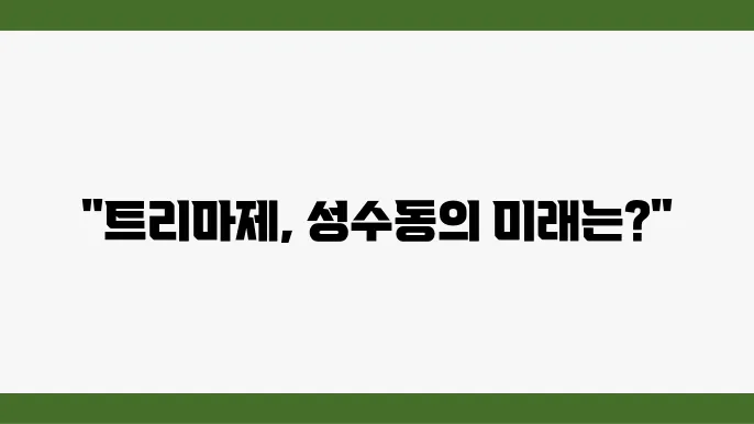 [부동산 시장 전망]트리마제, 성수동의 럭셔리 아파트로 자리 잡을까?