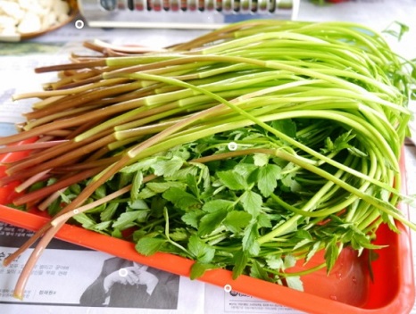 6시내고향-경북-청도-민가네-한재미나리