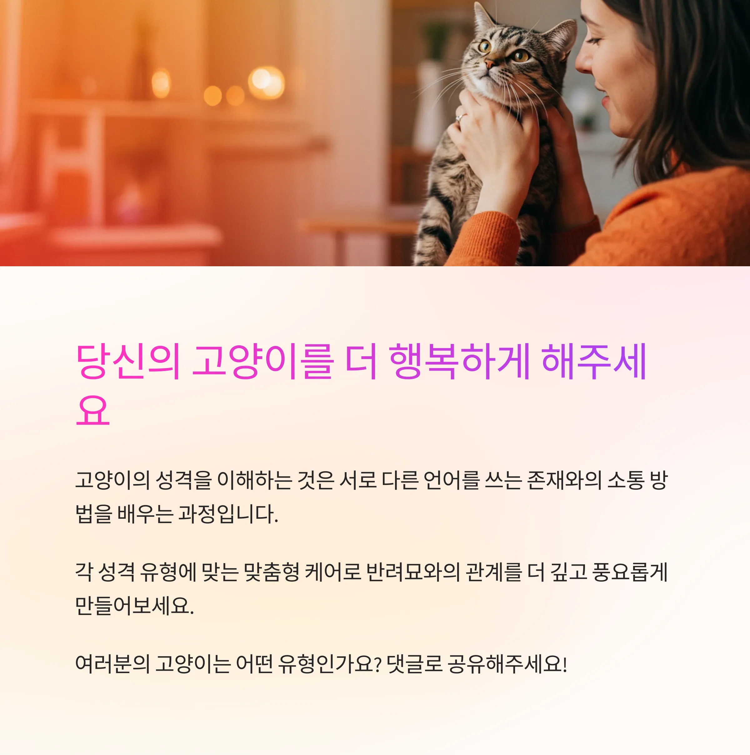 고양이 성격 유형별 맞춤 돌봄법