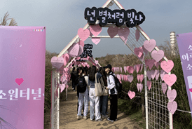 하늘공원 억새축제기간