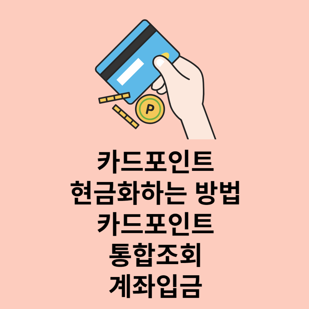 카드포인트 통합조회 계좌입금 방법