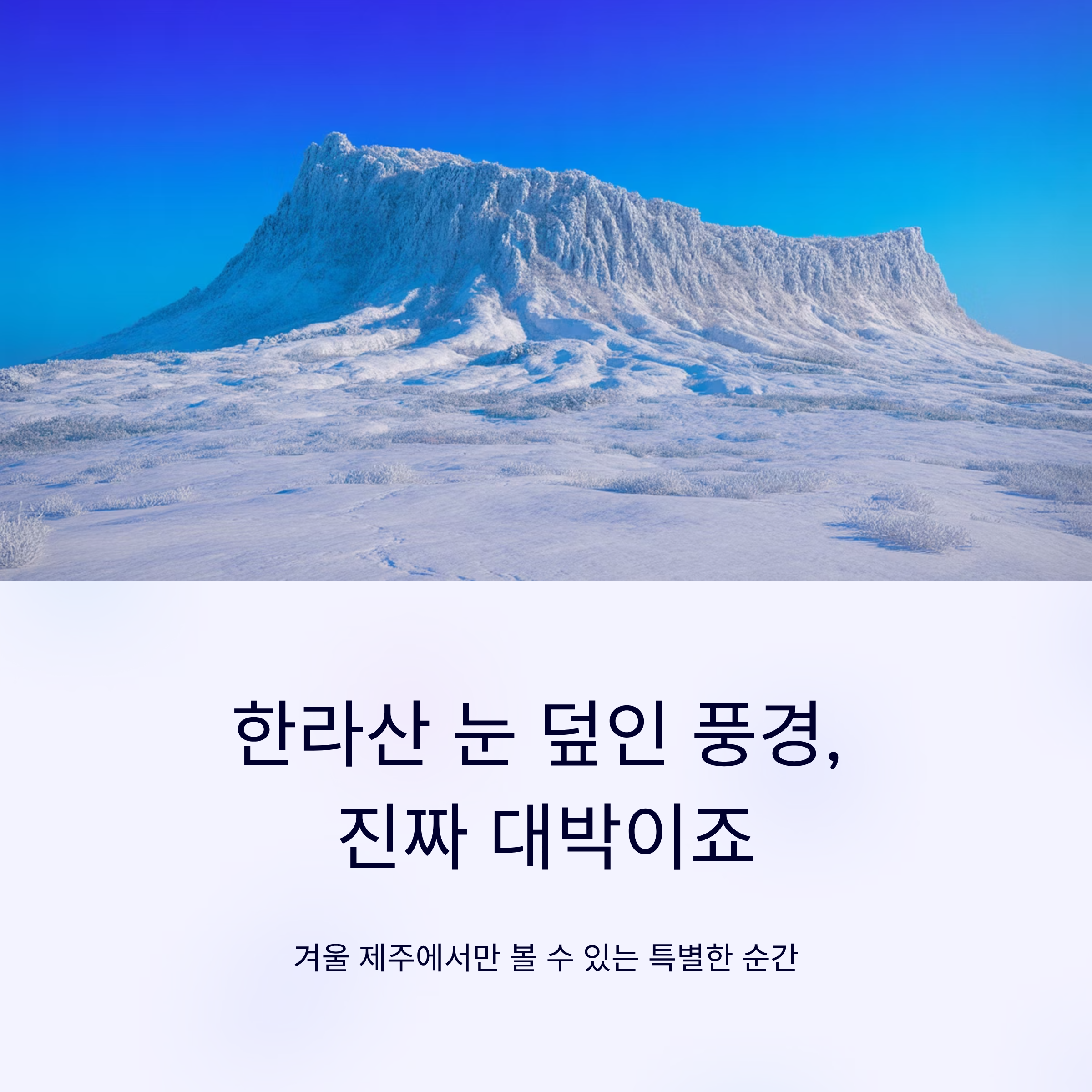 한라산 눈 덮인 풍경, 진짜 대박이죠