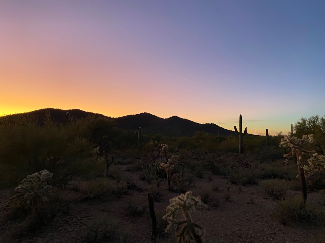 Tucson