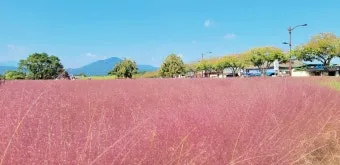 가을 경주 여행 가볼만한곳 베스트 10으로 정리_12
