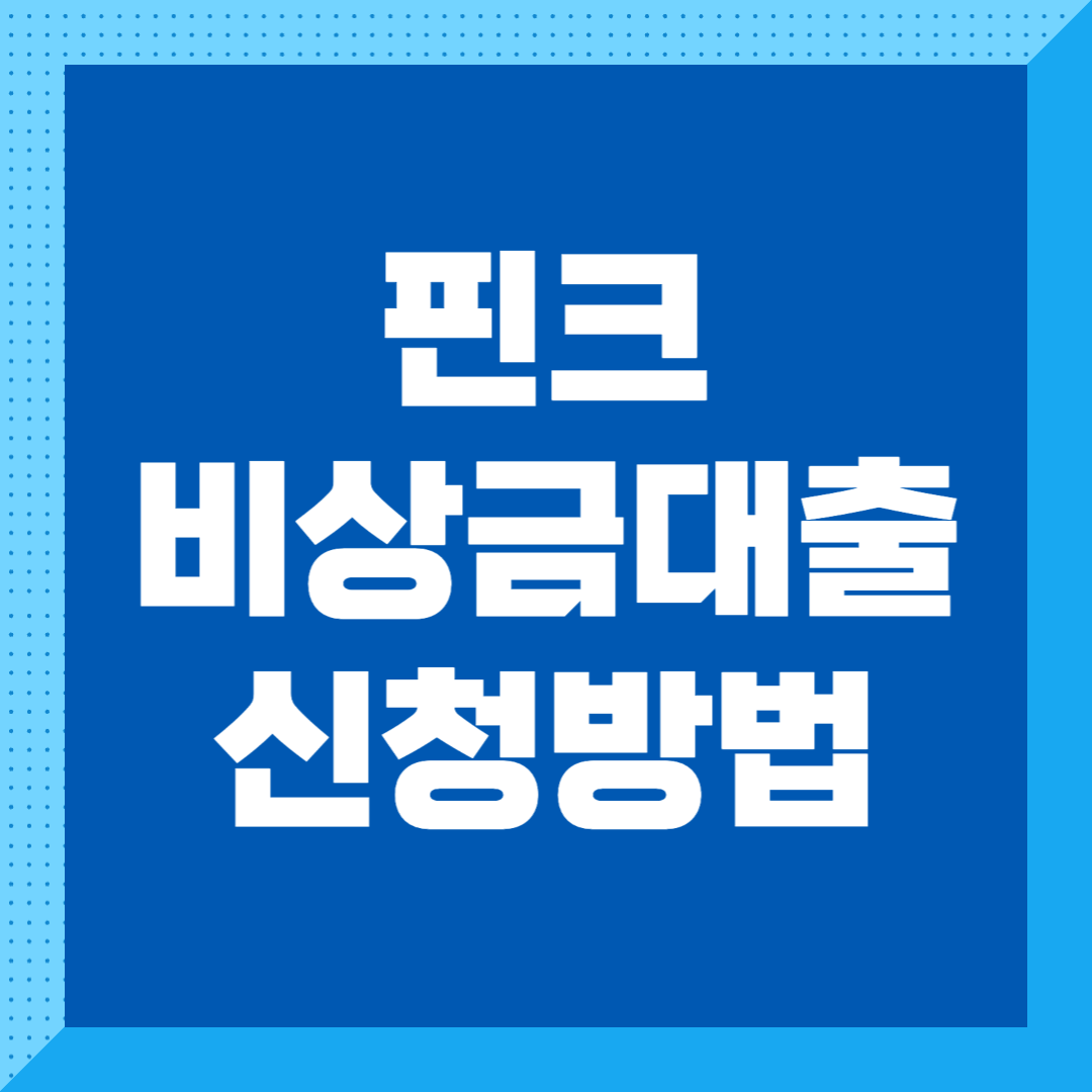핀크 비상금대출 신청방법