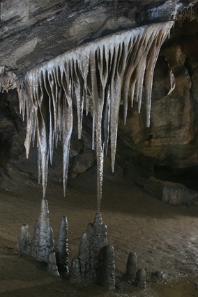 평창 백룡동굴 예약 방법