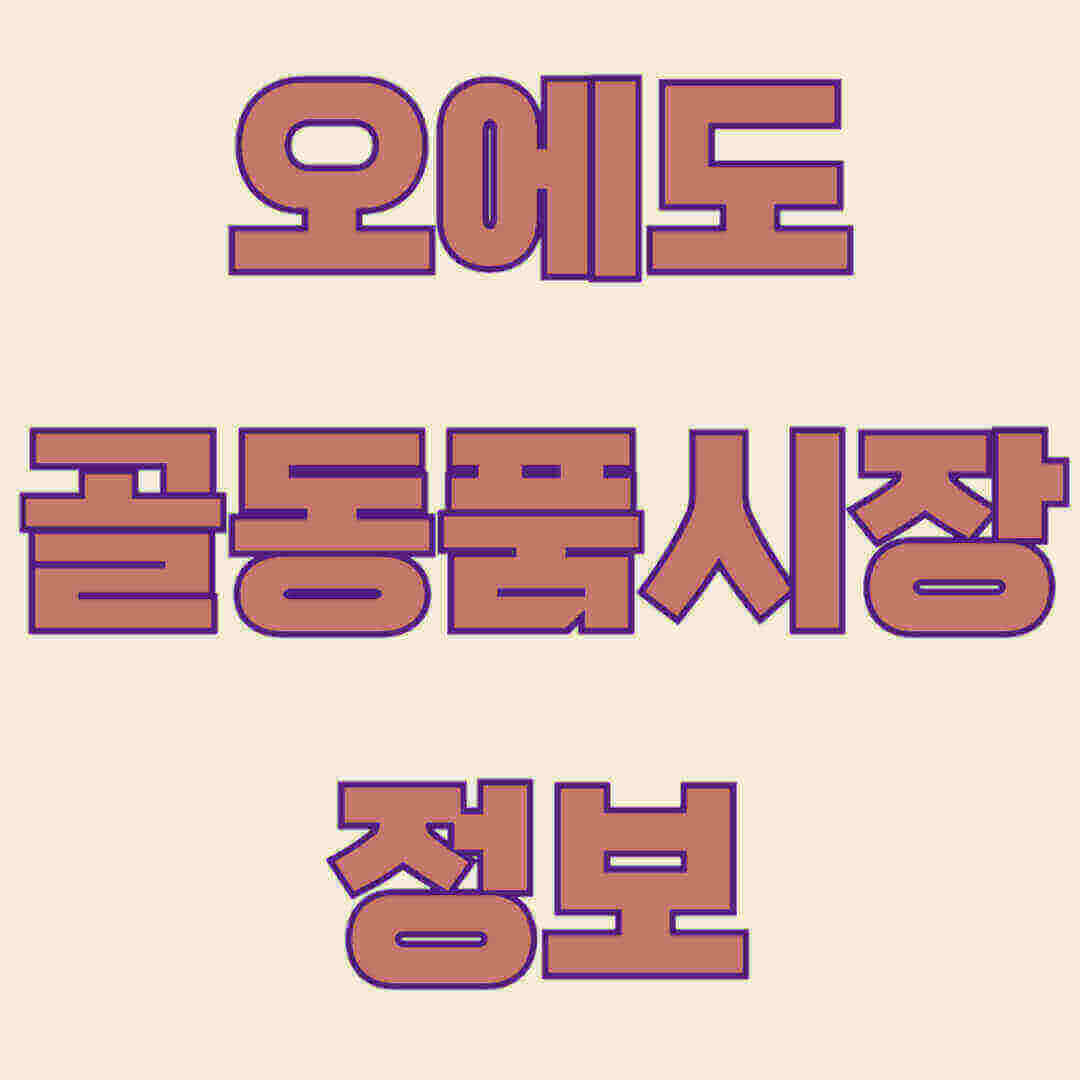 도쿄 오에도 골동품 시장 소개