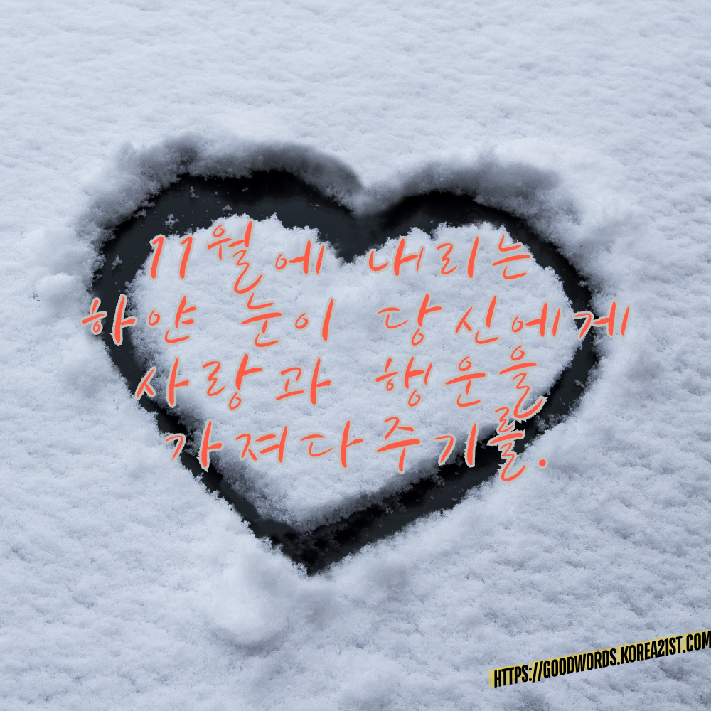 11월 인사말 문구 이미지 모음 안부 메세지