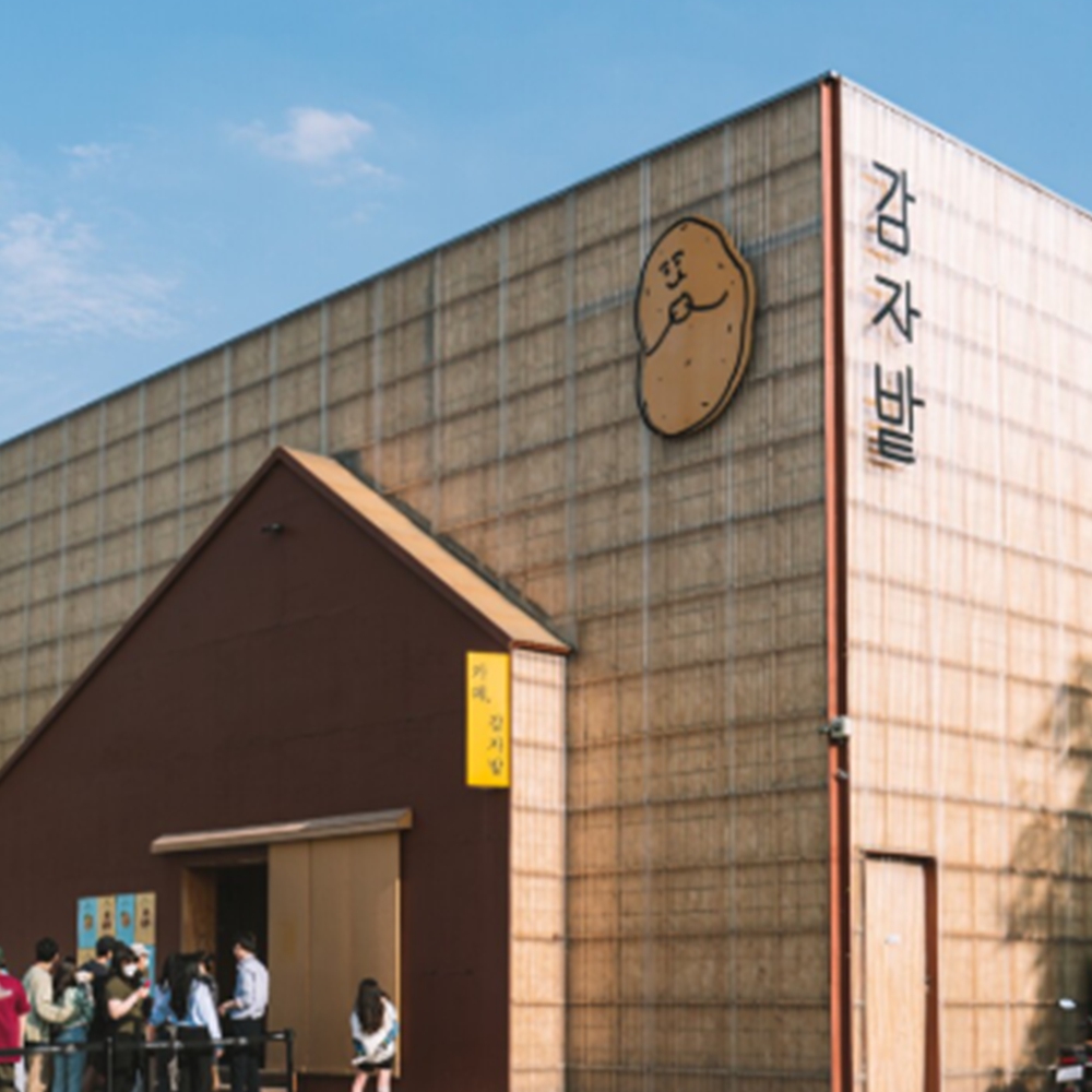 카페 감자밭