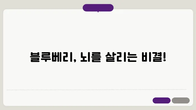 블루베리의 항산화 성분과 뇌 건강 없어