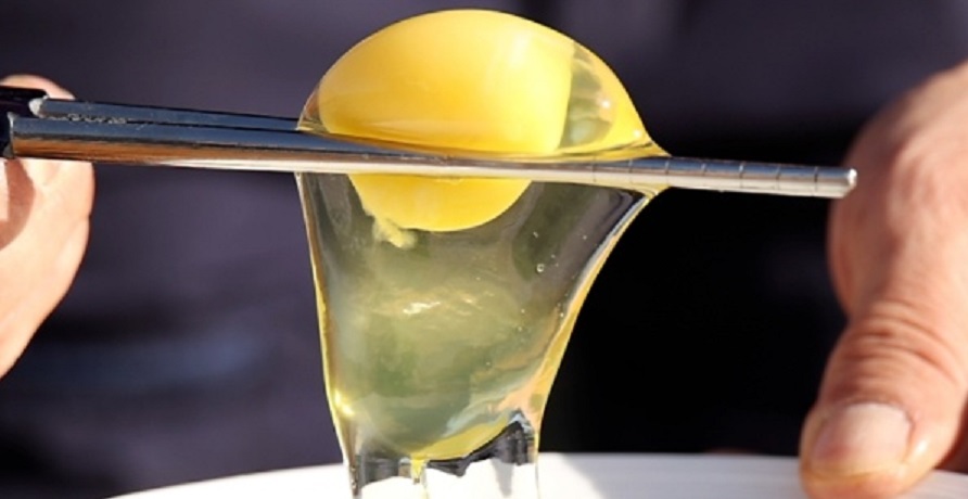 동네한바퀴-경기도-연천-유정란-유나네자연숲농장-행복한달걀