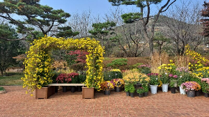 화성_우리꽃식물원_국화전시회