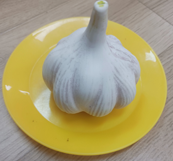우리나라는 왜 마늘에 진심일까? 마늘의 역사와 숨겨진 이야기