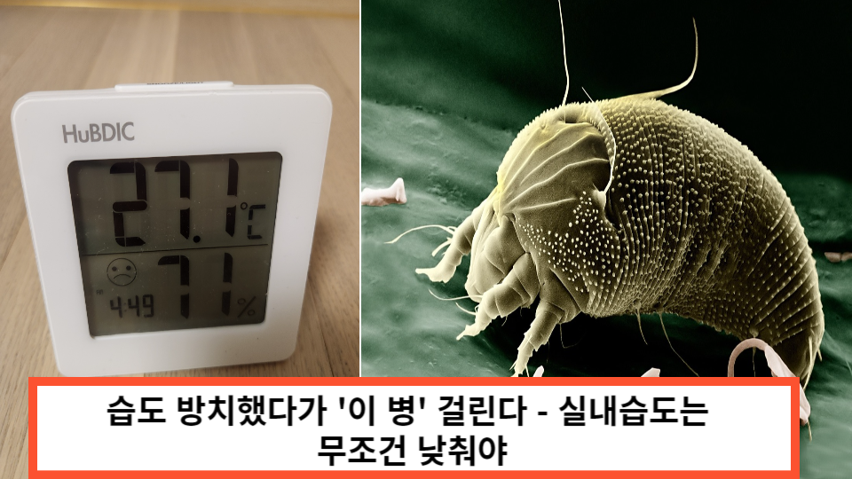 습도방치했다가-병에걸린다-썸네일