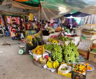 나트랑-담시장-과일