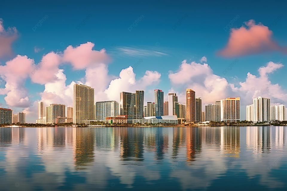 마이애미 해변 이미지 사진