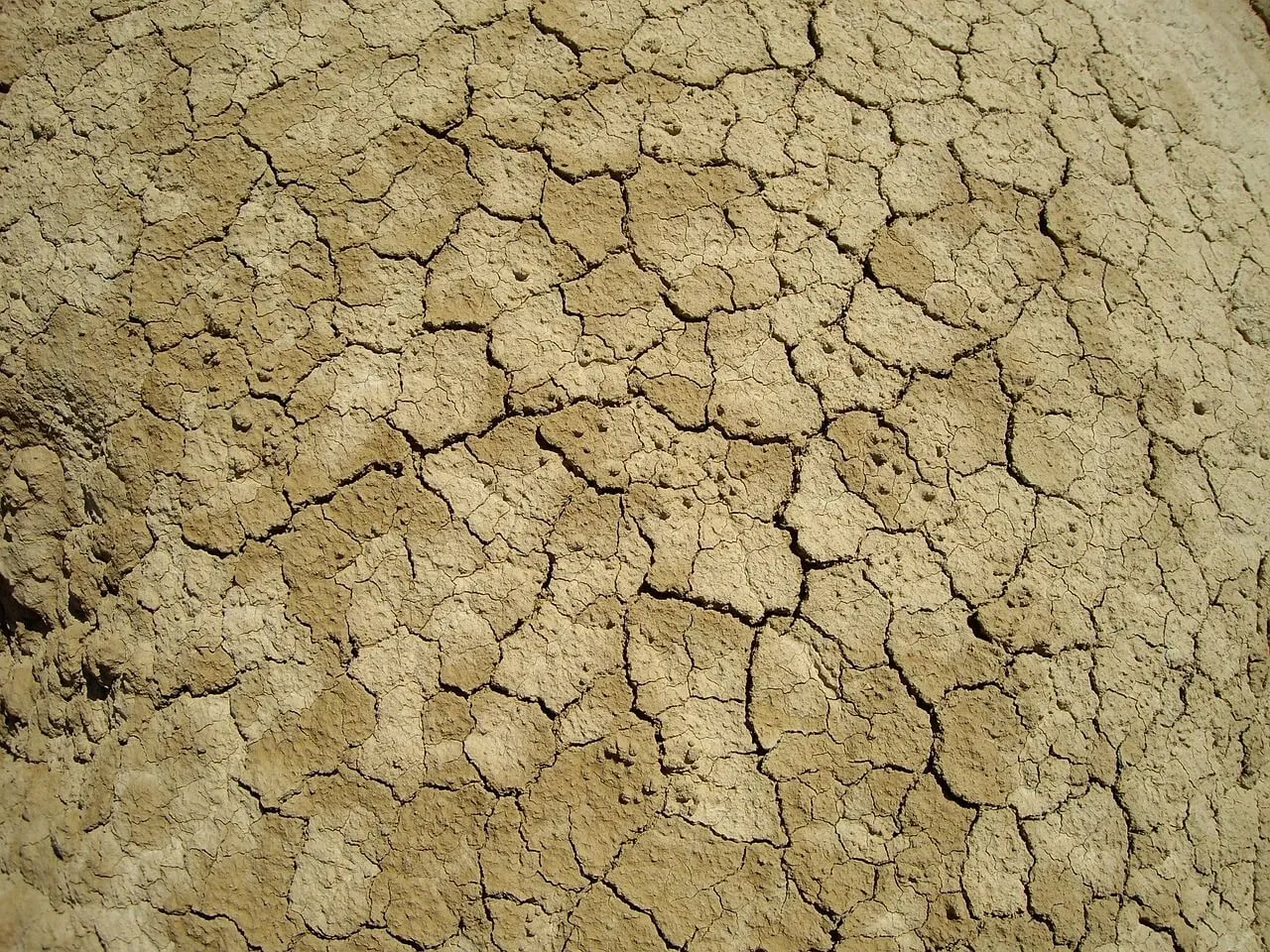 추억 속의 연탄 불고기 집