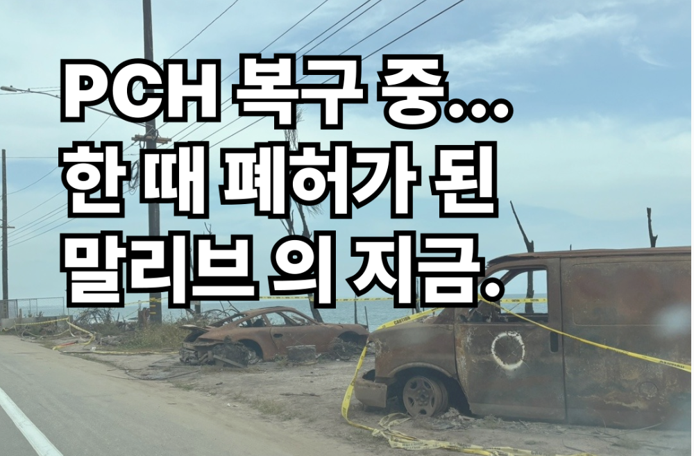 산불로 전소된 차량과 고사된 야자수가 해안가에 남아 있는 이미지