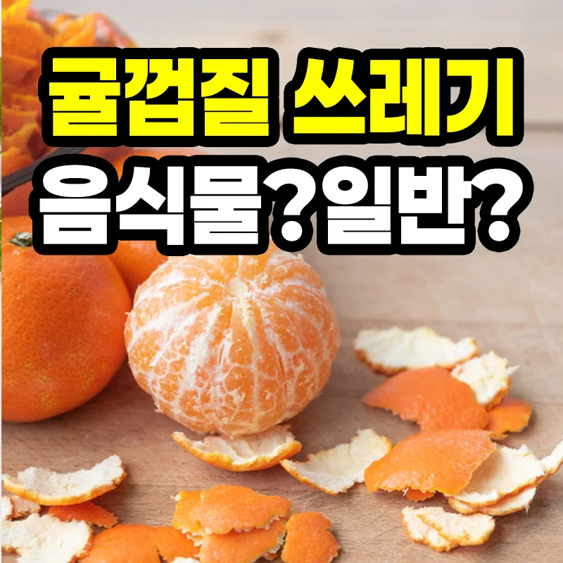 귤껍질 분리수거 음식물 쓰레기 분류 기준 안내 대표 이미지