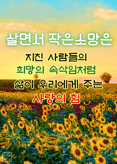 여름 풍경 이미지
