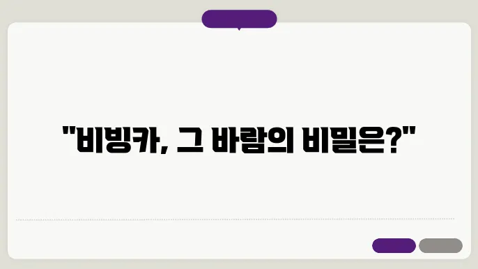 13호 태풍 비빙카