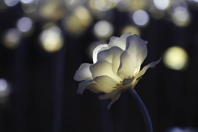 제주도 야간개장 명소