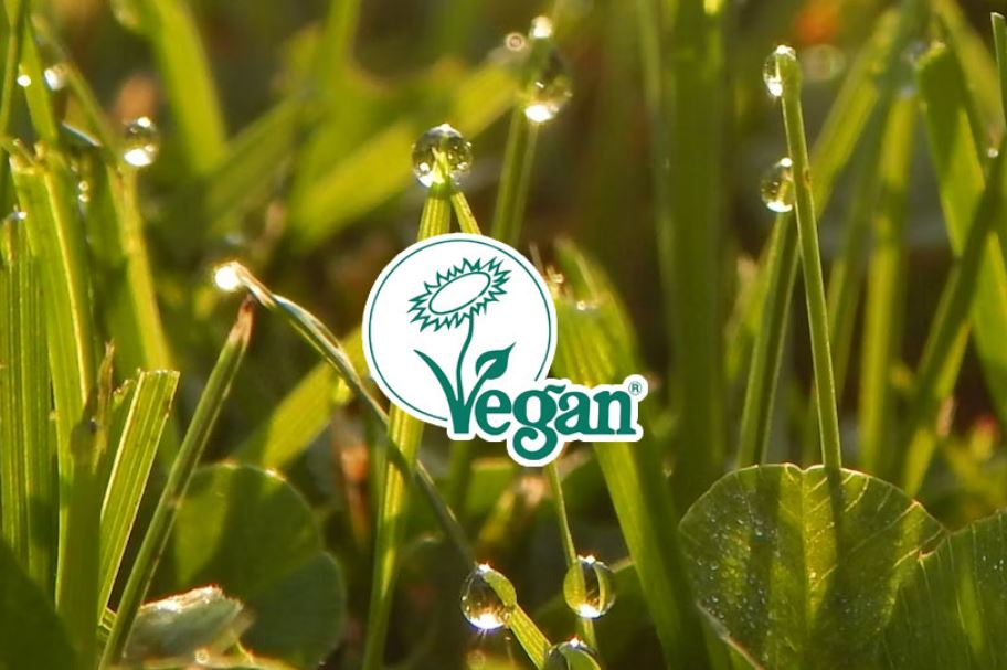 그래비티 샴푸! 성분부터 리뷰까지