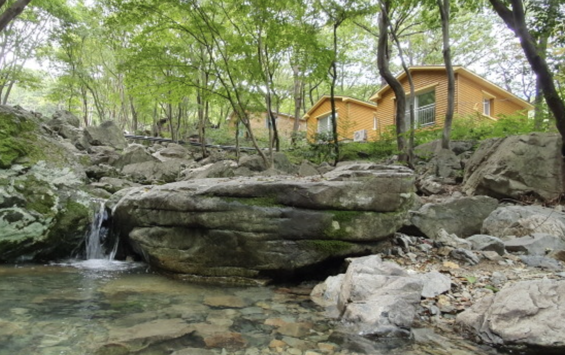 국립자연휴양림 전경