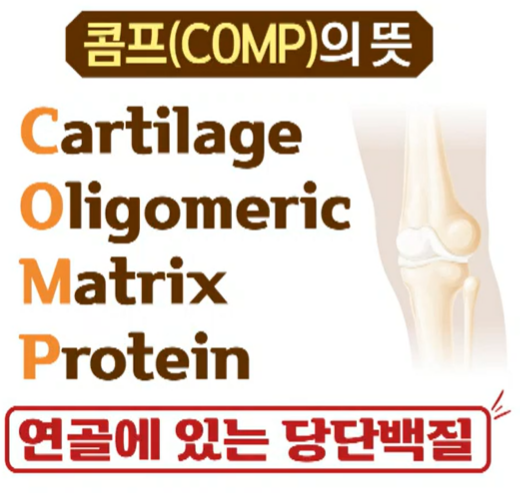 가자추출물 효능