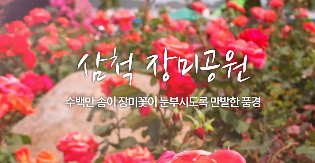 삼척 장미공원-썸네일