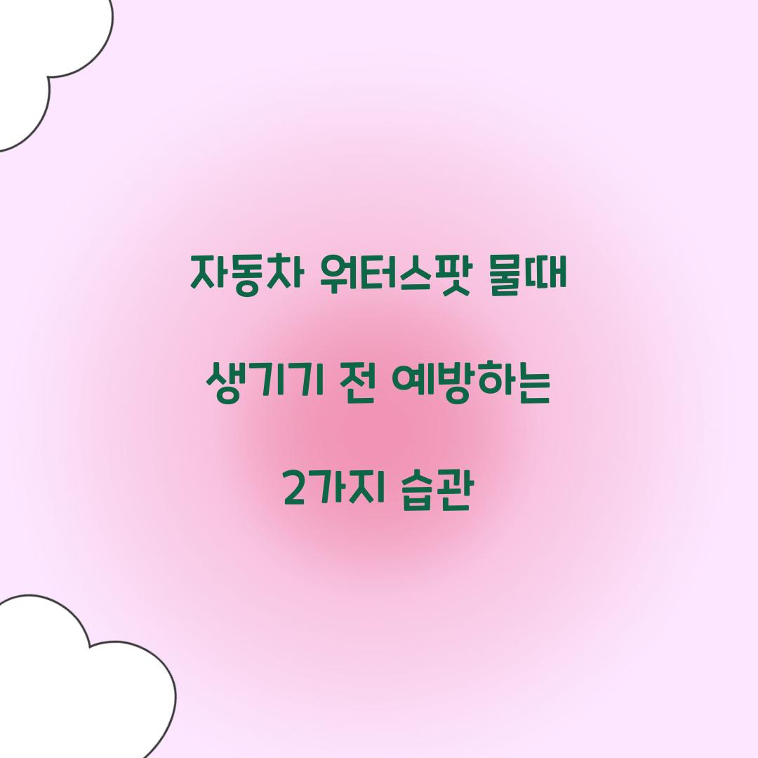 자동차 워터스팟 물때 생기기 전 예방하는 2가지 습관  