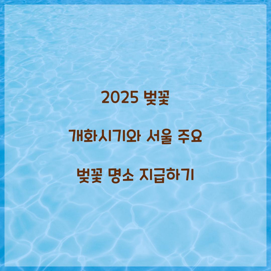 벚꽃 개화시기