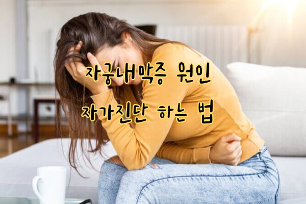 난소 자궁내막증 관리 방법