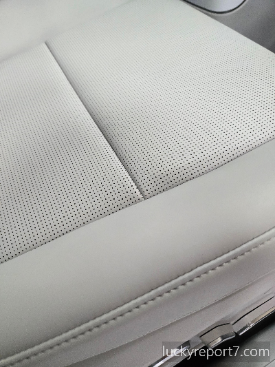 아이오닉9-시트색상-실물색상