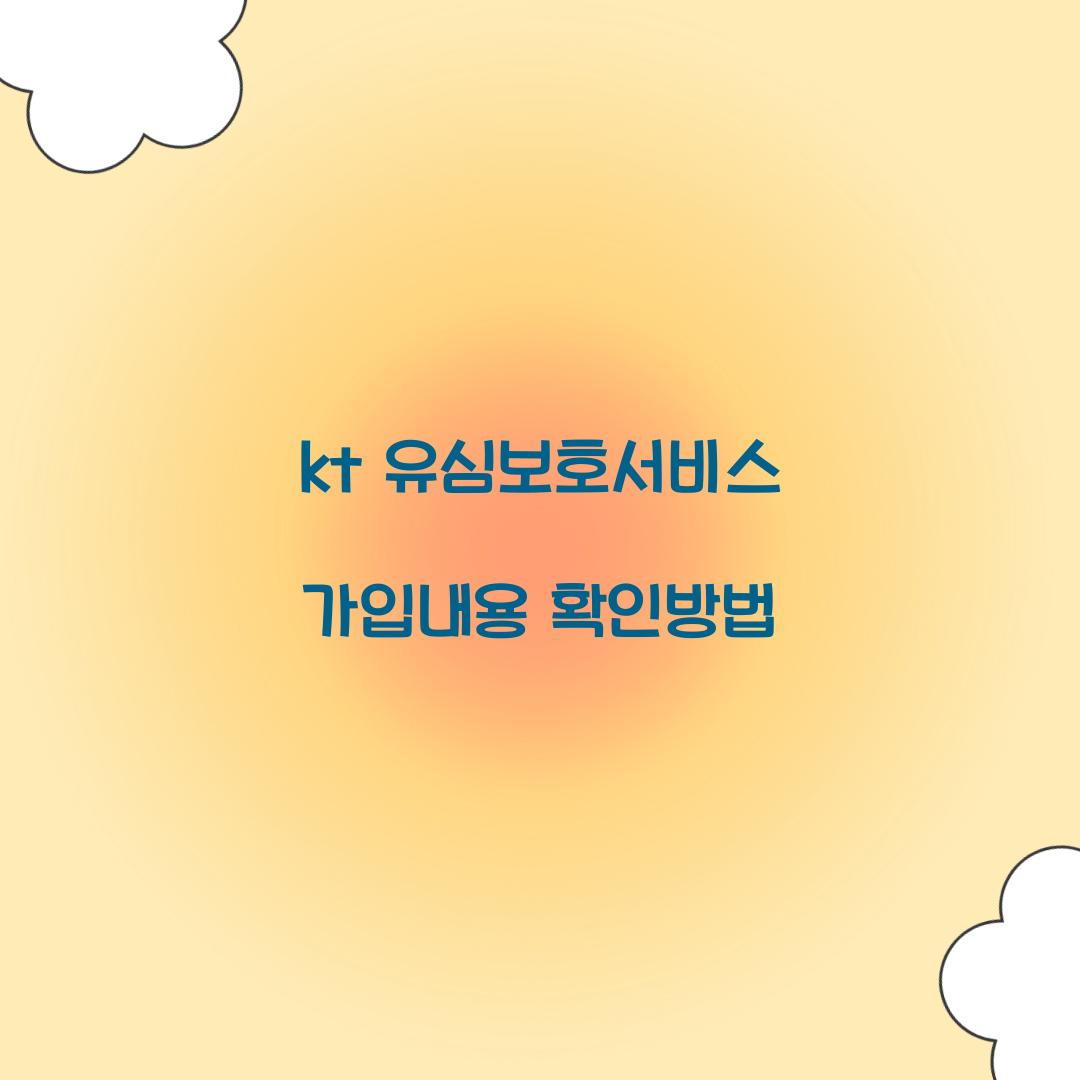 kt 유심보호서비스 가입내용