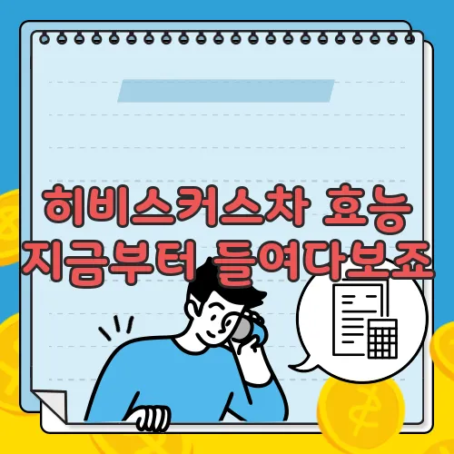 히비스커스차 효능 지금부터 들여다보죠