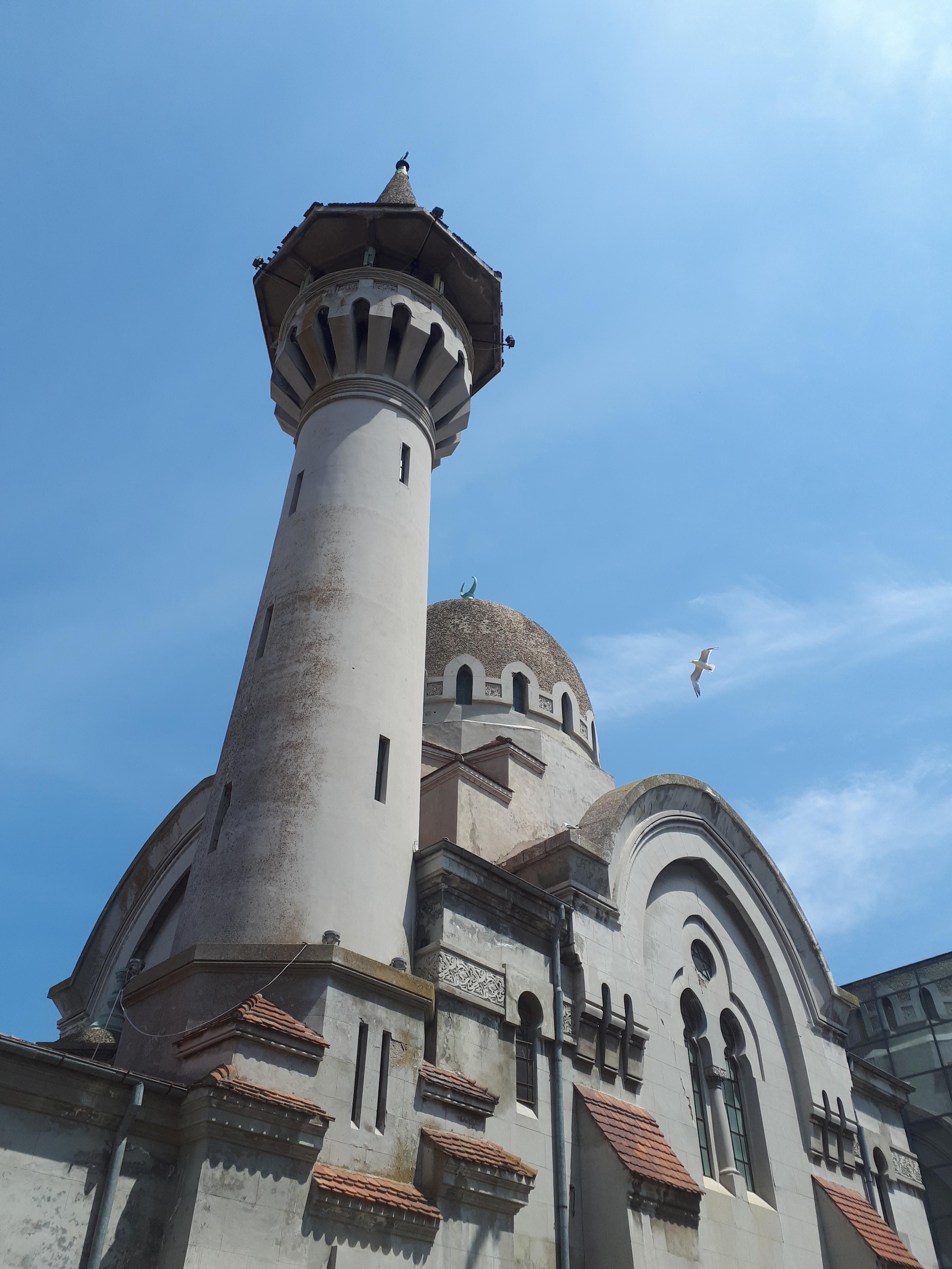 루마니아 콘스탄차 대모스크와 갈매기