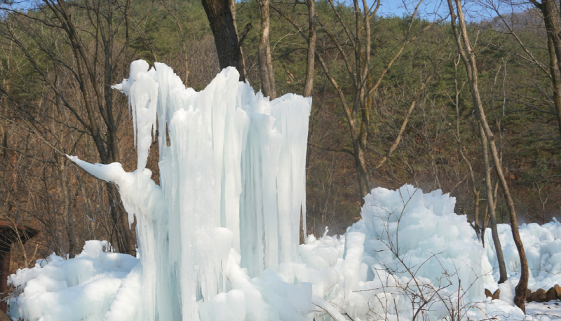 상소동 산림욕장