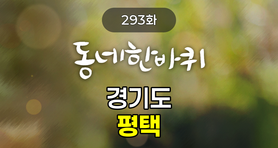 KBS 동네한바퀴 경기도 평택 293화 2024년 11월 2일 맛집 식당 업체 촬영장소 촬영지 정보, 평택강변에서 만난 가을, 붓 대신 바늘, 물감 대신 실로 그리는 소잉아트, 평택 특산품으로 만드는 평택배 샌드, 송탄 송 씨 형제의 부대찌개와 햄버거, 머리부터 발끝까지 맞춰주는 맞춤복 공장, 그래피티 1세대 작가의 소방관을 위한 응원 메시지, 묵밥 한 그릇에 담긴 억척 노부부의 54년