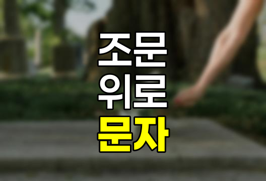 조문 위로 문자 모음, 상황별, 대상별 맞춤 위로 메시지 가이드 관련 정보
