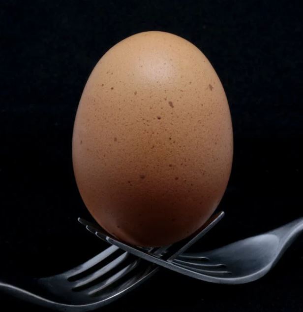 비타민K2가 많은 음식