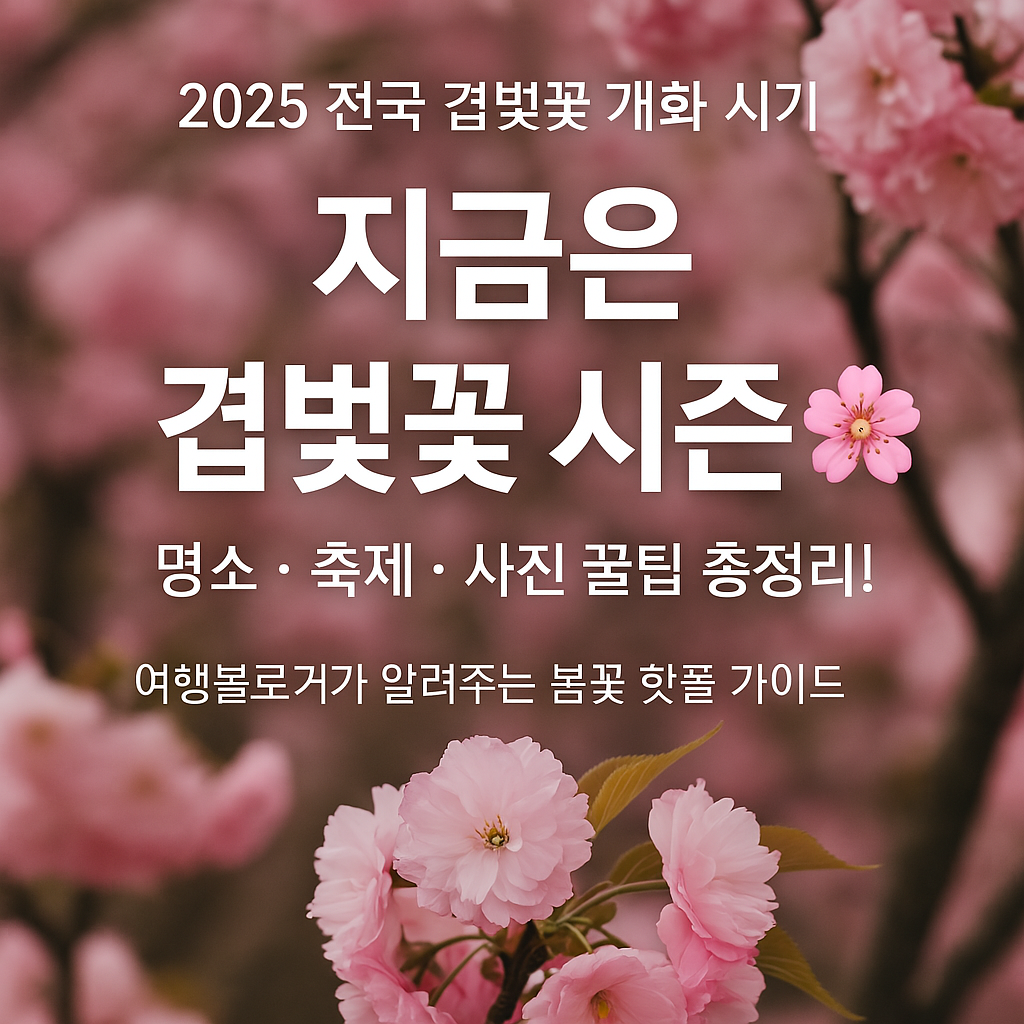일반 벚꽃은 끝났다고? 지금은 겹벚꽃 시즌! 2025 개화 캘린더 대공개 썸네일 사진