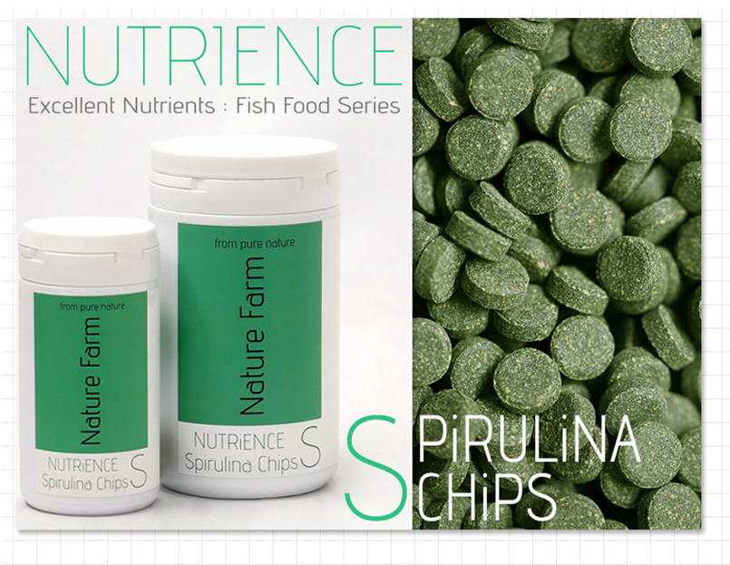 스피룰리나 관련 사진