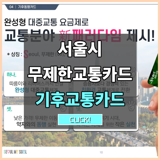기후교통카드