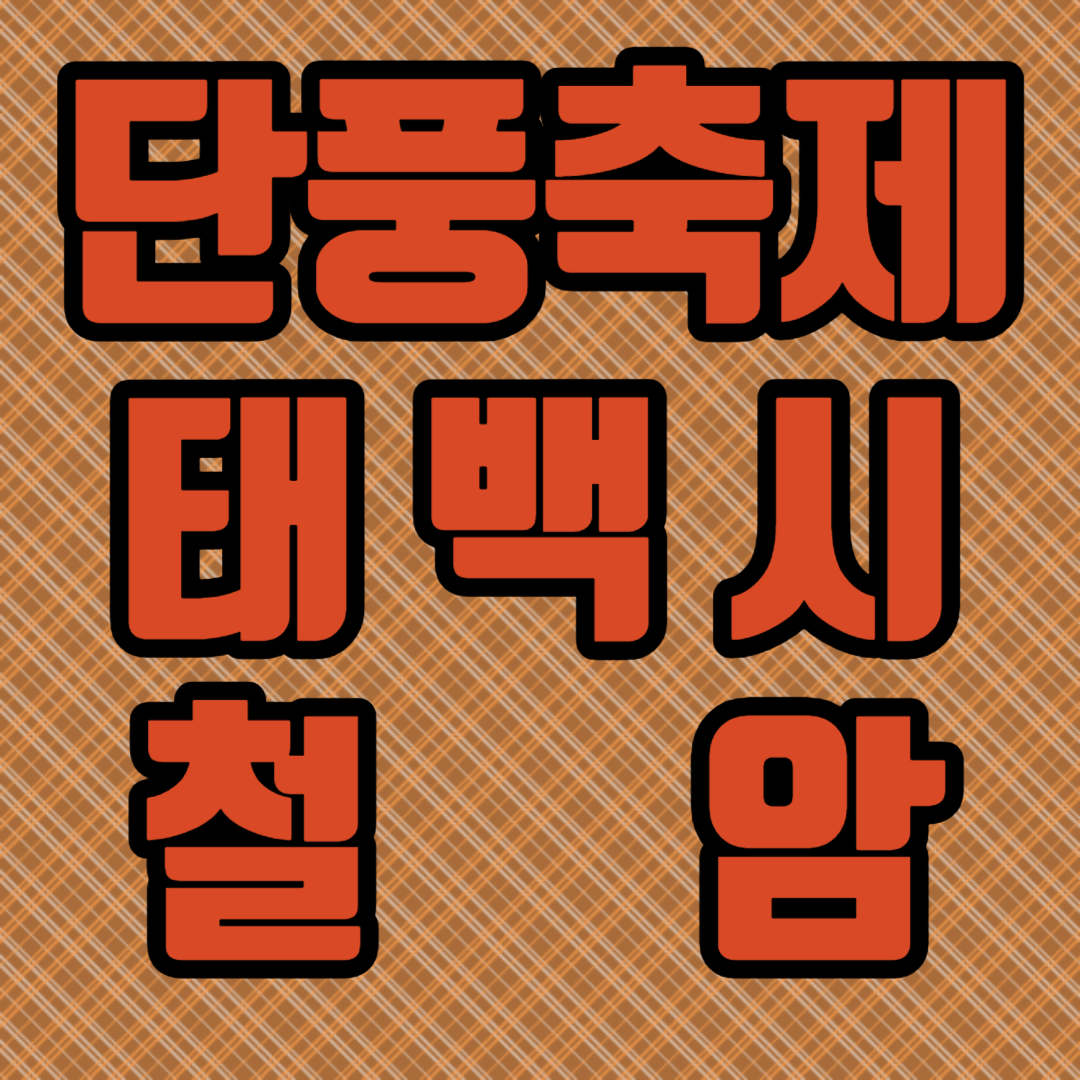 태백시 철암 단풍군락지