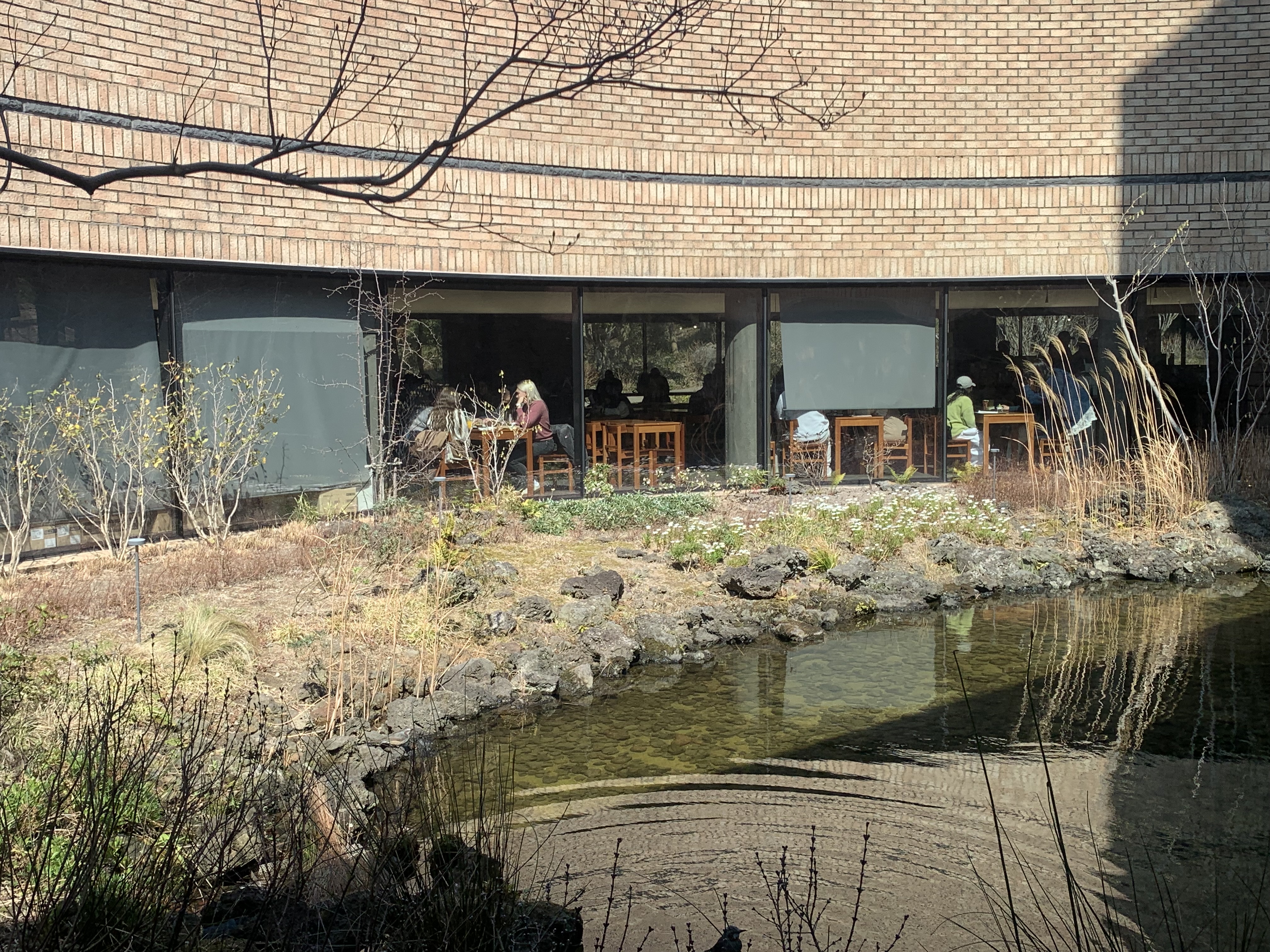 제주 오설록티하우스 전경